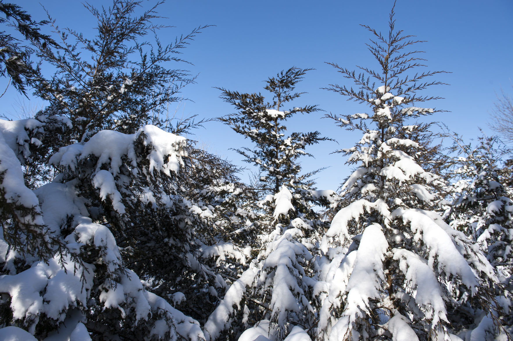weather, 2.24